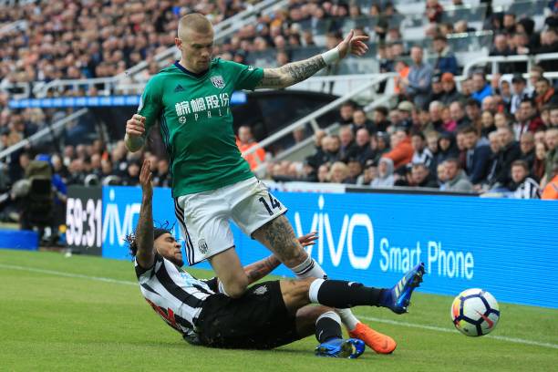 它深远地影 它深远地影